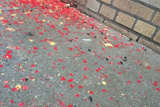 Dead bees adorn the paint-dappled Bushwick sidewalks.